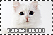  Cats: Turkish Angora