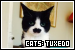  Cats: Tuxedo